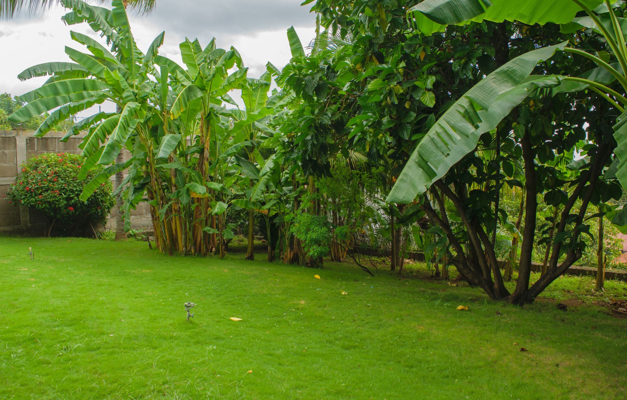 Hotel Fontana Managua Eksteriør bilde